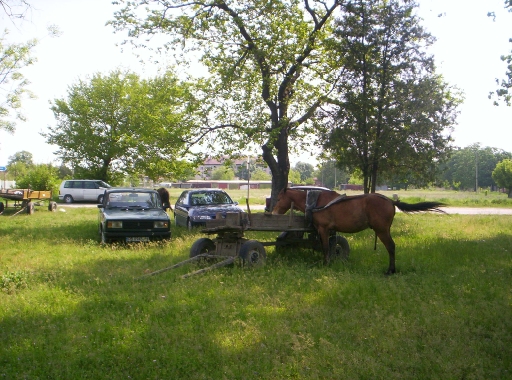 Picture 035